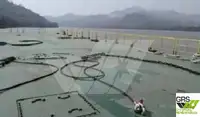 驳船 待售