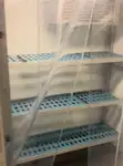 客滚船 待售