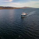 测量船 待售