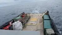 巡逻艇 待售