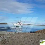 滚装船 待售