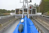 邮轮 待售