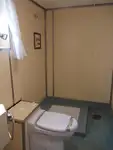 散货船 待售