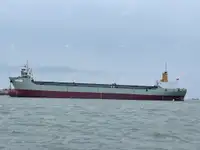 集装箱船 出售
