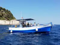 Trawler 出售