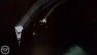 拖网渔船 待售