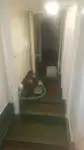 滚装船 待售