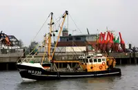 Trawler 出售