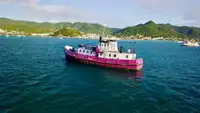 General Cargo/Multi-purpose 待售