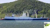 Ro-Ro ship 出售