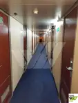 邮轮 待售