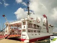 Ro-Ro ship 出售