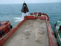 驳船 待售