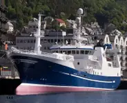 Purse seiner 出售