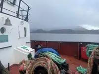 拖船 出售