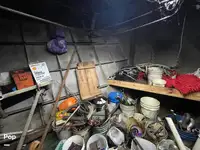 拖网渔船 待售
