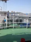 挖泥船 待售