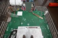 渡轮 待售