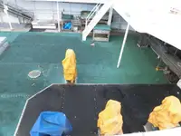 拖网渔船 待售