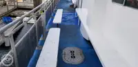 双体船 待售