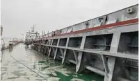 散货船 待售