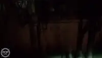 拖网渔船 待售