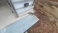 邮轮 待售