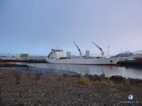 冷藏船 待售