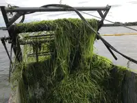 压舱水船 待售