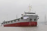 集装箱船 出售