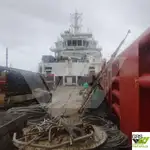 供应船 待售