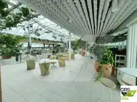 邮轮 待售