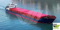 散货船 待售