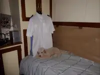 巡逻艇 待售