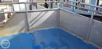 双体船 待售