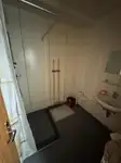 邮轮 待售