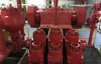 液化天然气运输船 待售
