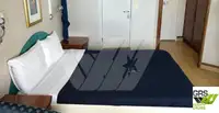 Ro-Ro ship 出售