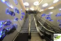 滚装船 待售