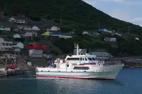 散货船 出售