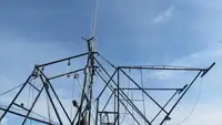 拖网渔船 待售