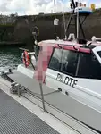 引航船 待售