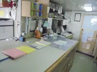 巡逻艇 待售
