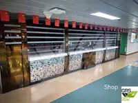 滚装船 待售