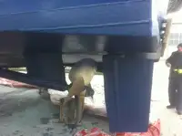 船员船 待售
