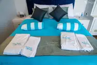 潜水支援船 待售