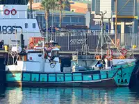 Purse seiner 出售