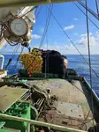 Purse seiner 出售