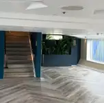 客滚船 待售