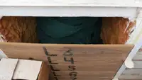 拖网渔船 待售